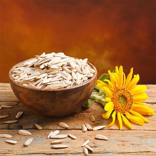 Sunflower Seeds